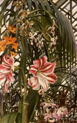 Orchids, Lilies, Palms