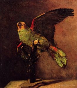 The Green Parrot