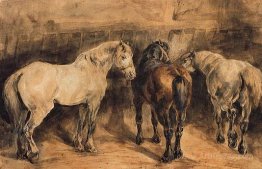 Three horses in their stable