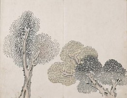 Untitled (a tree with small leaves)