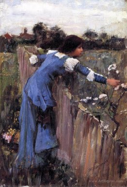 The Flower Picker