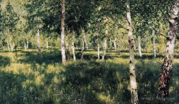 Birch grove