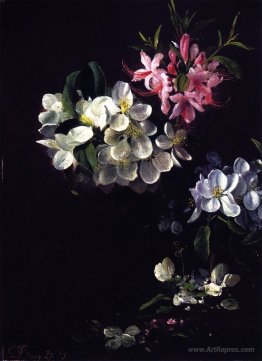 Sketch of Apple Blossoms with May Flowers