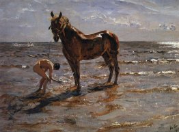 Bathing a Horse