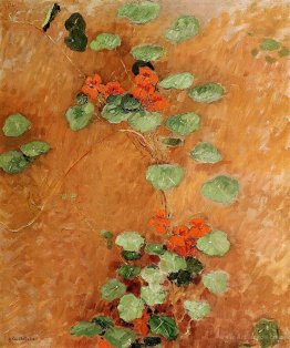 Nasturtiums