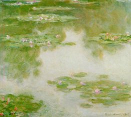 Water Lilies