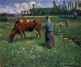 Girl Tending a Cow in Pasture