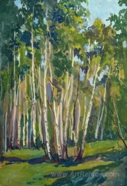 Birches at Noon