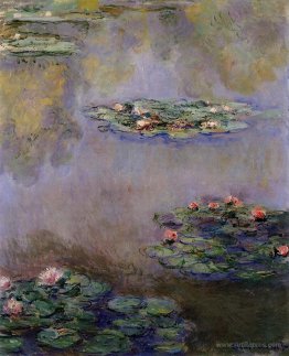 Water Lilies