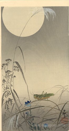 Grasshoper and Fool Moon