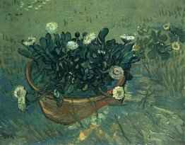 Still Life Bowl with Daisies