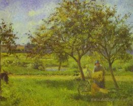 The Wheelbarrow, Orchard