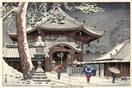 Snow at Nan-endo Temple, Nara