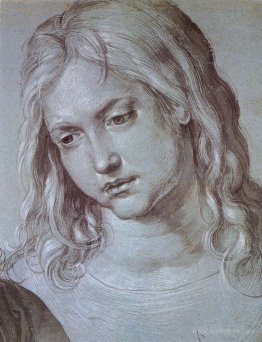 Head of the twelve year old Christ