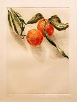 Tangerines