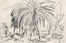 Spanish landscape. Palm.