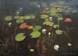 Water lilies. Nenuphar.