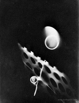 Photogram