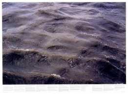 Untitled (from the series Still Water (The River Thames, for Exa