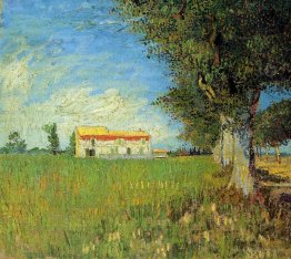 Farmhouse in a Wheat Field