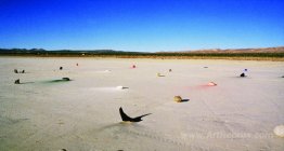 Rock and Pigment Installation