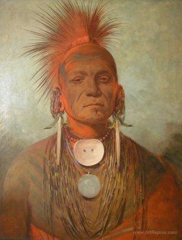 See-non-ty-a, an Iowa Medicine Man