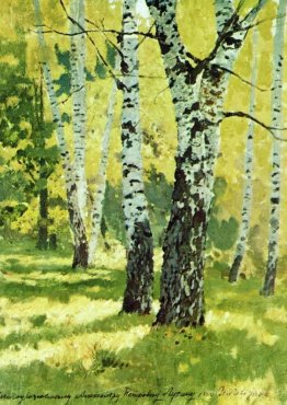 Birch grove