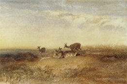 Deer in a Landscape