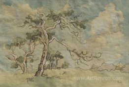 Trees in a landscape