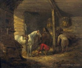 Stable Scene