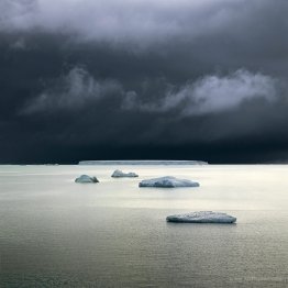 Five Icebergs (Wedell Sea, Antarctica)