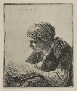 A Young Woman Reading