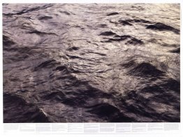 Untitled (from the series Still Water (The River Thames, for Exa