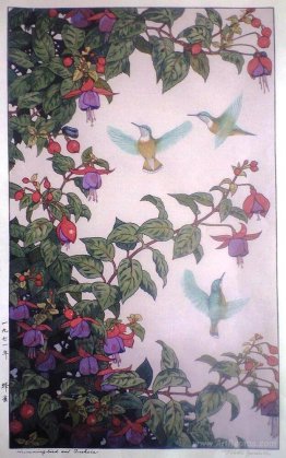 Hummingbird and Fuchsia