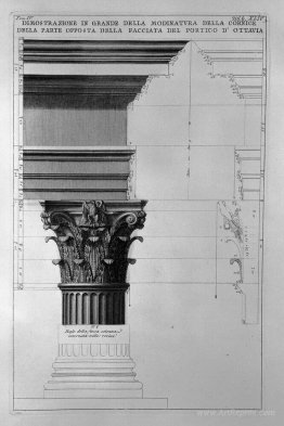 The Roman antiquities, t. 4, Plate XLIV. Vista of modinatura big