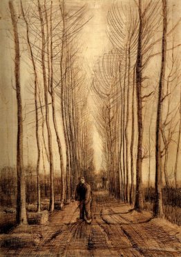 Avenue of Poplars