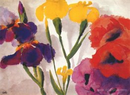 Irises and poppies