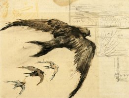 Four Swifts with Landscape Sketches