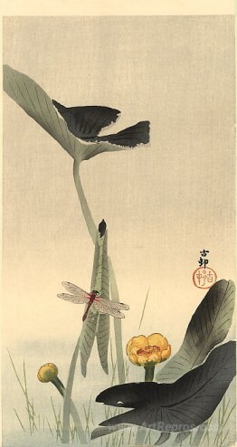 Dragonfly and Lotus