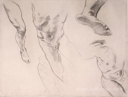 Figure studies of a male youth