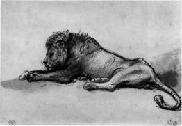 Lion resting