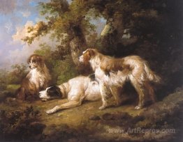 Dogs In Landscape - Setters & Pointer