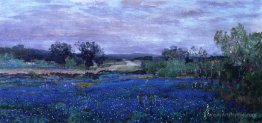 Blue Bonnets at Twilight