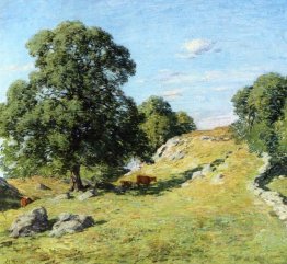 Pasture, Old Lyme