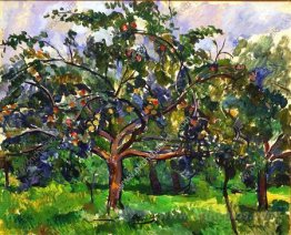 Apple trees