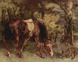 Horse in the Woods