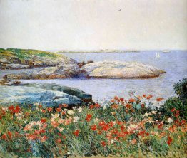 Poppies, Isles of Shoals