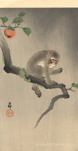 Monkey on the tree