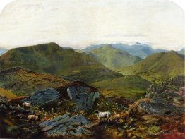 Landscape in the Lake District