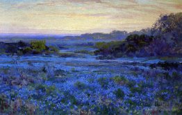 Bluebonnet Scene